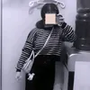 zani_b7