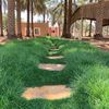 dammam38