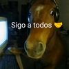 sigo a todos