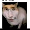 thebestcatguyeva