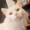 username_19097