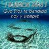 luisluna43669