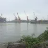 t.oil77