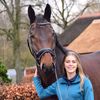 kaathoven_dressage