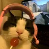 imshai_asf