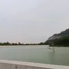 camtu.duong4