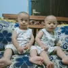nanisuwarni777