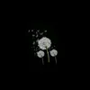 mituot_725