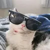 slightlyannoyedmrsbarker