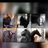 user7033053861934
