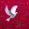 arshadmehmood4552