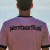 Palermitaniartificiali