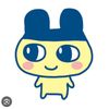 pokepipi3