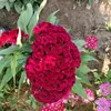 user5sl8elsdtg