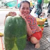 long.son.trieu