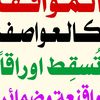 user3016758656060
