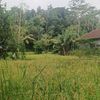 masudsidik37
