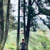 hvrkoklvin