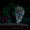 mohamedha1374