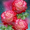wahabmosta689
