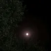 mmzzm892