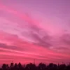 stayaya01