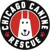 chicagocaninerescue