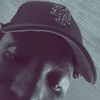 big_moskito