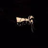 sl1pher_