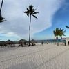 brenda_0697