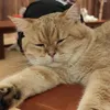 wtfwtfwtf_13