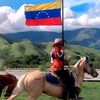 jeffersonnavarro77