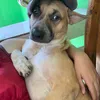 urlittle_princess1
