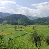 sungthimai888