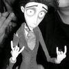 aleevcxzz