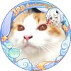 jeki_cat