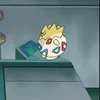 toarukukawayo