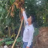 dean_realkhmer