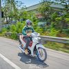 ter125led