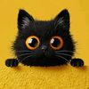 hai_dawrrr