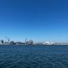 sandiegovibes619