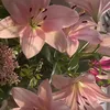 ch3rry_k1ss_