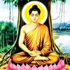anhda049