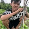 taodeptroainhatthegioi