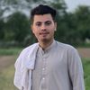 tanzeelkhan4690
