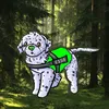 fire_paws1