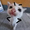 nicky.name