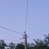 danndan87