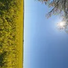 matti_2009_15