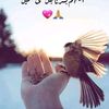 mohamed.amin81771